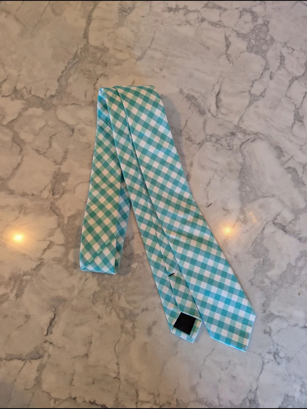 Crewcuts Teal and White Gingham Neck Tie